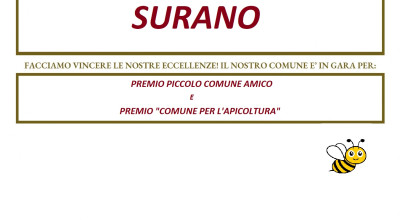 PREMIO PICCOLO COMUNE AMICO - PREMIO 2025